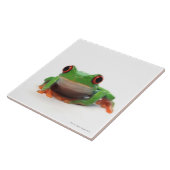 Rode oogolkikker 2 tegeltje (Zijkant)