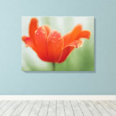 Rode Open Tulp Bloem Op Groene Natuur Fotografie Canvas Afdruk (Insitu (Houten vloer))