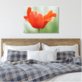 Rode Open Tulp Bloem Op Groene Natuur Fotografie Canvas Afdruk (Insitu (Slaapkamer))