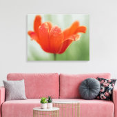 Rode Open Tulp Bloem Op Groene Natuur Fotografie Canvas Afdruk (Insitu (Woonkamer))