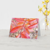 Rode & oranje bladerenkaart - de kust van de kaart (Gele Bloem)