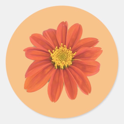 Rode oranje bloemsticker ronde sticker (Voorkant)
