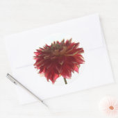 Rode, oranje en gele dahlia stickers (Envelop)