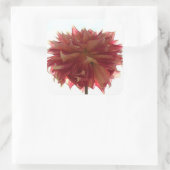 Rode, oranje en gele dahlia stickers (Tas)