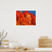 Rode Oranje herfst laat prints bomen (Keuken)