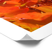Rode Oranje herfst laat prints bomen (Hoek)