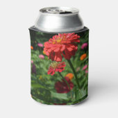 rode oranje melkbloem, rode bloemtuin blikjeskoeler (Blikje Achterkant)