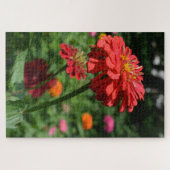 rode oranje melkbloem, rode bloemtuin legpuzzel (Horizontaal)