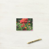 rode oranje melkbloem, rode bloemtuin post-it® notes (Op bureau)