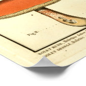 rode Oranje paddenstoelen Franse kunst afdrukken Poster (Hoek)