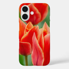 Rode Oranje Tulp iPhone 16 Hoesje
