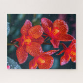 Rode Orchidee bloem Legpuzzel (Horizontaal)