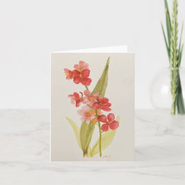 Rode Orchidee Gevouwen Nota Kaart