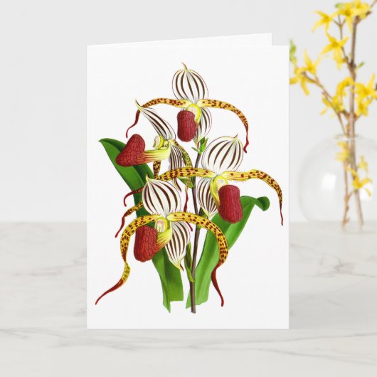  rode orchidee ventilator kaart (Gele Bloem)