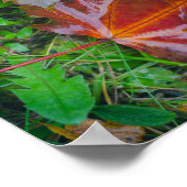 Rode paardenbladeren poster (Hoek)