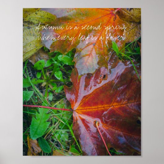 Rode paardenbladeren poster (Voorkant)