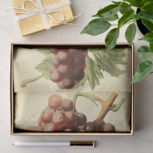 Rode Paarse Druivenwijn Ephemera Decoupage Tissuepapier (Geschenk)