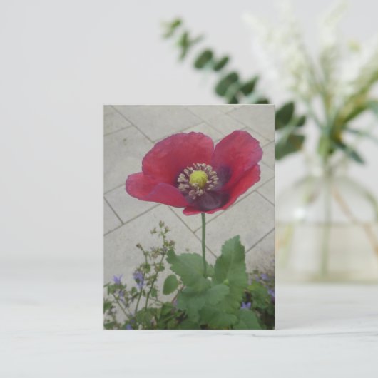 Rode Paarse Poppy Flower DIY Briefkaart (Staand voorkant)