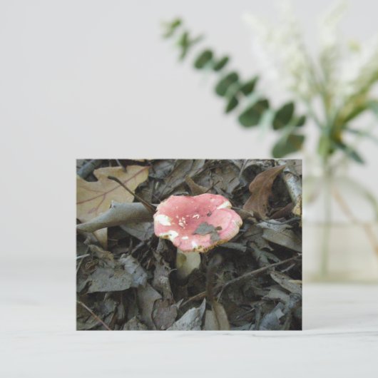 Rode paddenstoel Briefkaart (Staand voorkant)