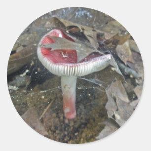 Rode paddenstoel en webstickers voor vel ronde sticker