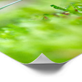 Rode paddenstoel herfst einde zomerfoto poster (Hoek)