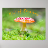 Rode paddenstoel herfst einde zomerfoto poster (Voorkant)