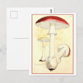  rode paddenstoel / paddenstoel illustratie briefkaart (Voorkant / Achterkant)