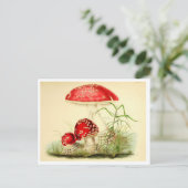 rode paddenstoel / paddestoel Briefkaart (Staand voorkant)