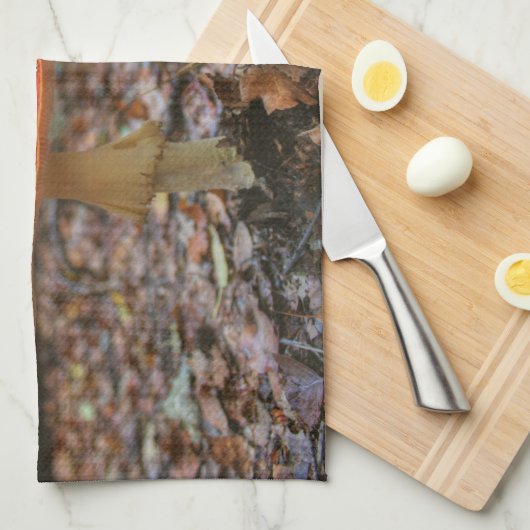 Rode paddenstoel theedoek (Quarter Fold)