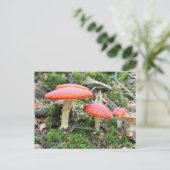 Rode paddenstoelen briefkaart (Staand voorkant)