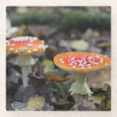 Rode paddenstoelen glazen onderzetter (Voorkant)