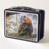 Rode panda (Voorkant)