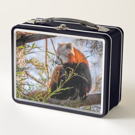 Rode panda (Voorkant)