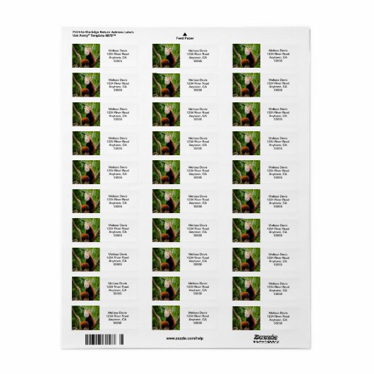 Rode Panda-Adresetiketten Etiket (Full Sheet)