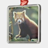 Rode panda Ailurus fulgens) Metalen Ornament (Links)