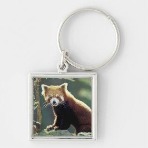 Rode panda Ailurus fulgens) Sleutelhanger