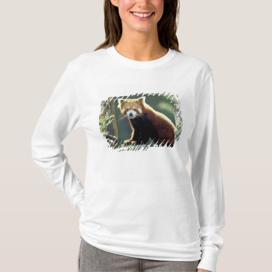 Rode panda (Ailurus fulgens) T-shirt (Voorkant)