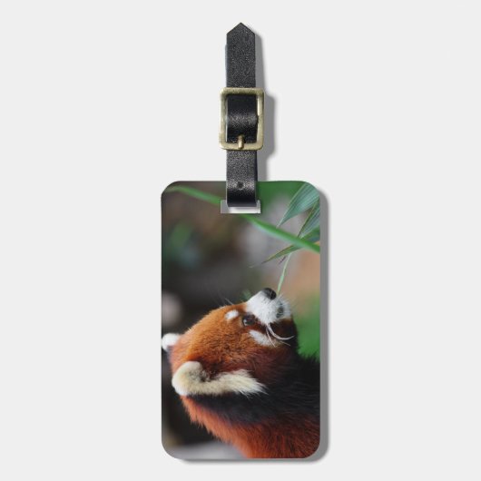 Rode panda bagagelabel (Voorkant verticaal)
