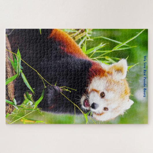 Rode Panda-Beren. Jigzaag Puzzle Legpuzzel (Horizontaal)
