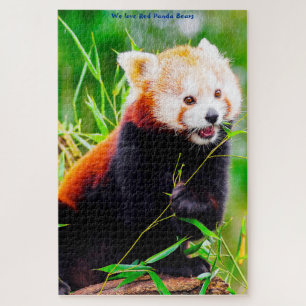 Rode Panda-Beren. Jigzaag Puzzle Legpuzzel