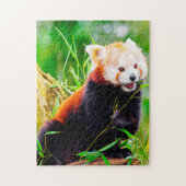 Rode Panda-Beren. Legpuzzel (Verticaal)