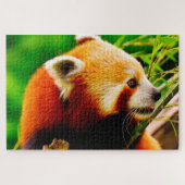 Rode Panda-Beren. Legpuzzel (Horizontaal)