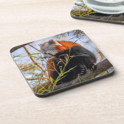 Rode panda bier onderzetter (Linkerzijde)