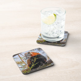 Rode panda bier onderzetter