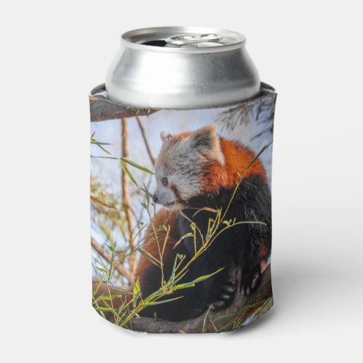 Rode panda blikjeskoeler (Blikje Voorkant)