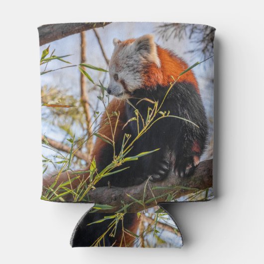 Rode panda blikjeskoeler (Achterkant)