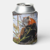 Rode panda blikjeskoeler (Blikje Achterkant)