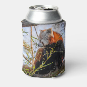 Rode panda blikjeskoeler