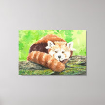 Rode panda