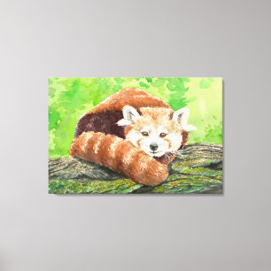 Rode panda canvas afdruk